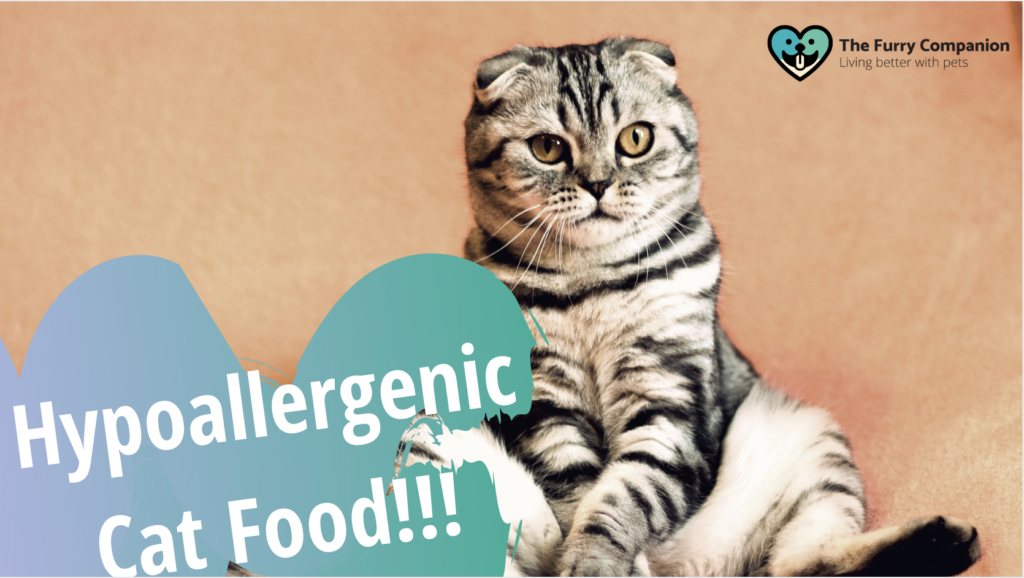 hypoallergenic cat food