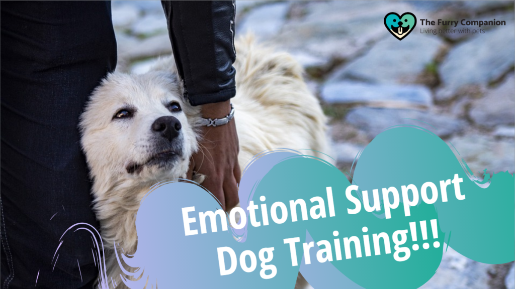 emotional support dog training