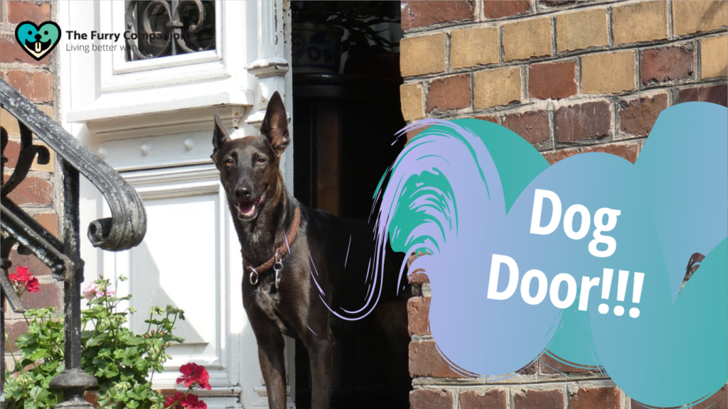 dog door