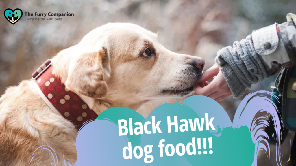 black hawk dog food