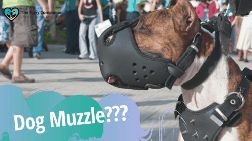 gentle dog muzzle