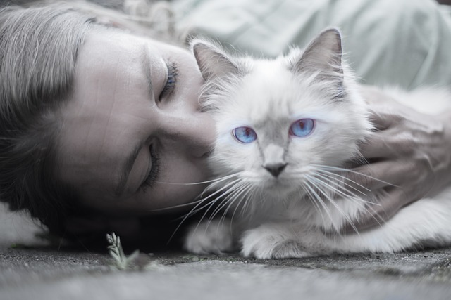 Do cats love their owners? Spend time with them and check for the sure signs